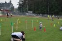 Filename=DSC_0342_28Copy29.jpg
Filesize=313KiB
Dimensions=1600x1063
Date added=Jun 19, 2019 DSC_0342_28Copy29.jpg