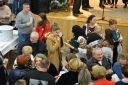 Filename=DSC_1739.JPG
Filesize=313KiB
Dimensions=1800x1200
Date added=Dec 24, 2019 DSC_1739.JPG