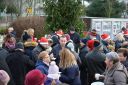 Filename=DSC_8330_28Copy29.jpg
Filesize=315KiB
Dimensions=1591x1061
Date added=Dec 27, 2018 DSC_8330_28Copy29.jpg